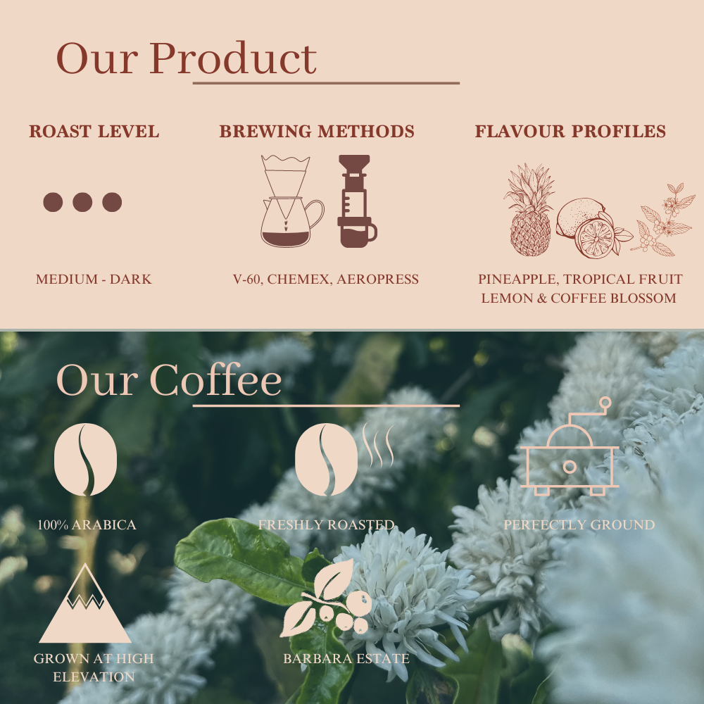 Piña Colada Coffee Beans & Mimosa Coffee Beans