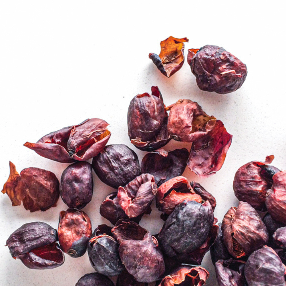 Easy Pour-Over Box & Cascara