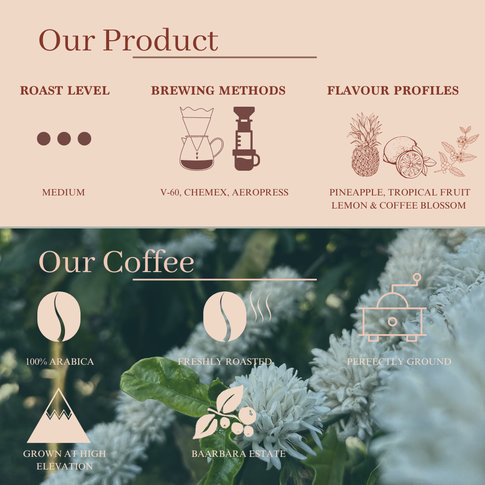 Piña Colada Coffee- Medium Roast, Flavour Notes: Pineapple, Tropical Fruit Lemon & Coffee Blossom