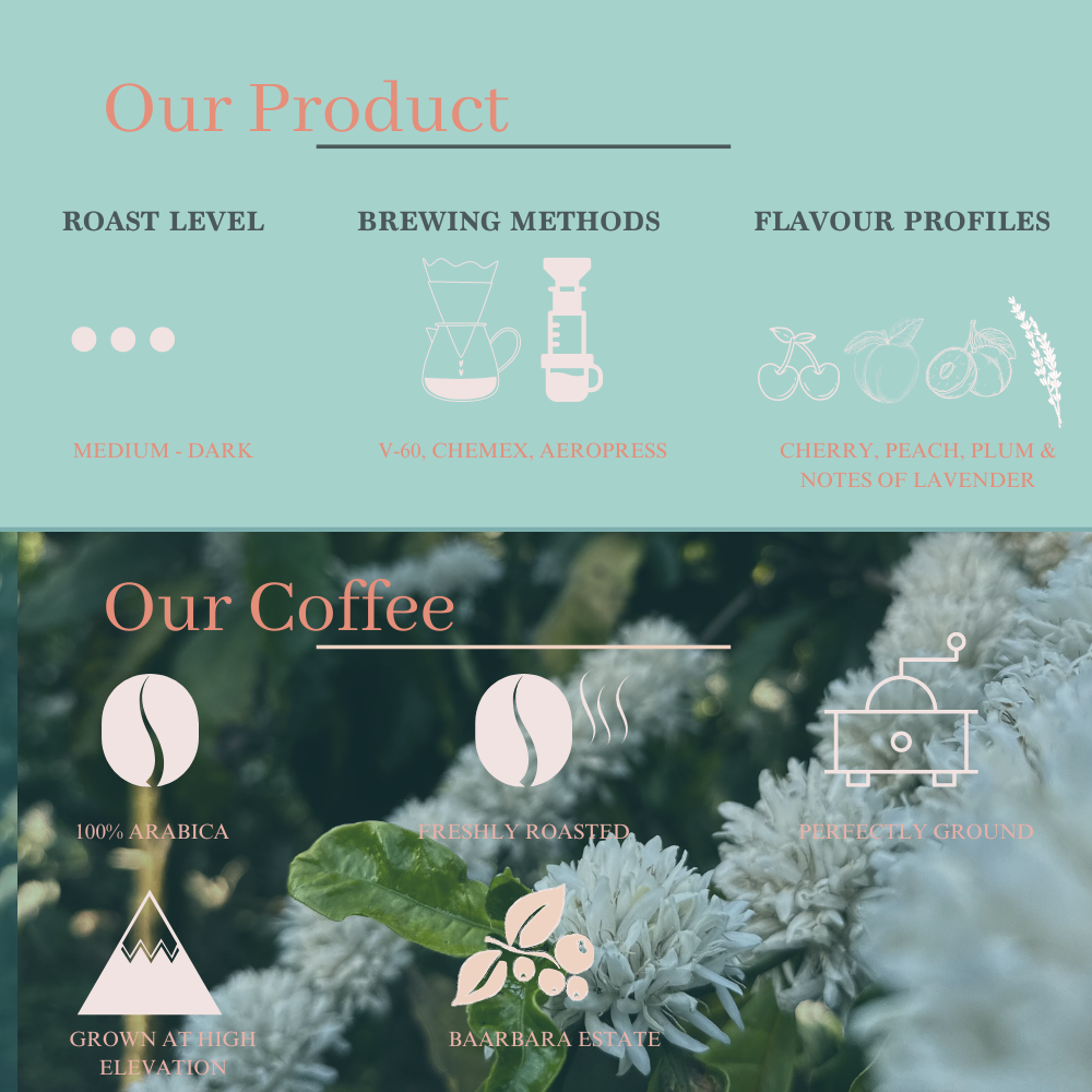 Cherry Blossom - Medium Roast, Flavour Notes: Cherry, Peach, Plum & Notes of Lavender