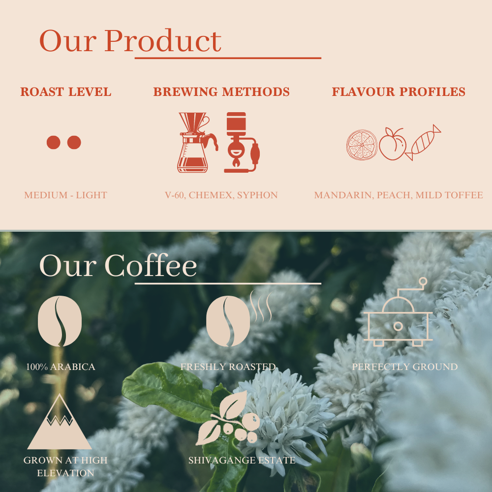 Citrus Upside Down Coffee - Medium Light Roast, Flavour Notes: Mandarin, Peach, Mild Toffee