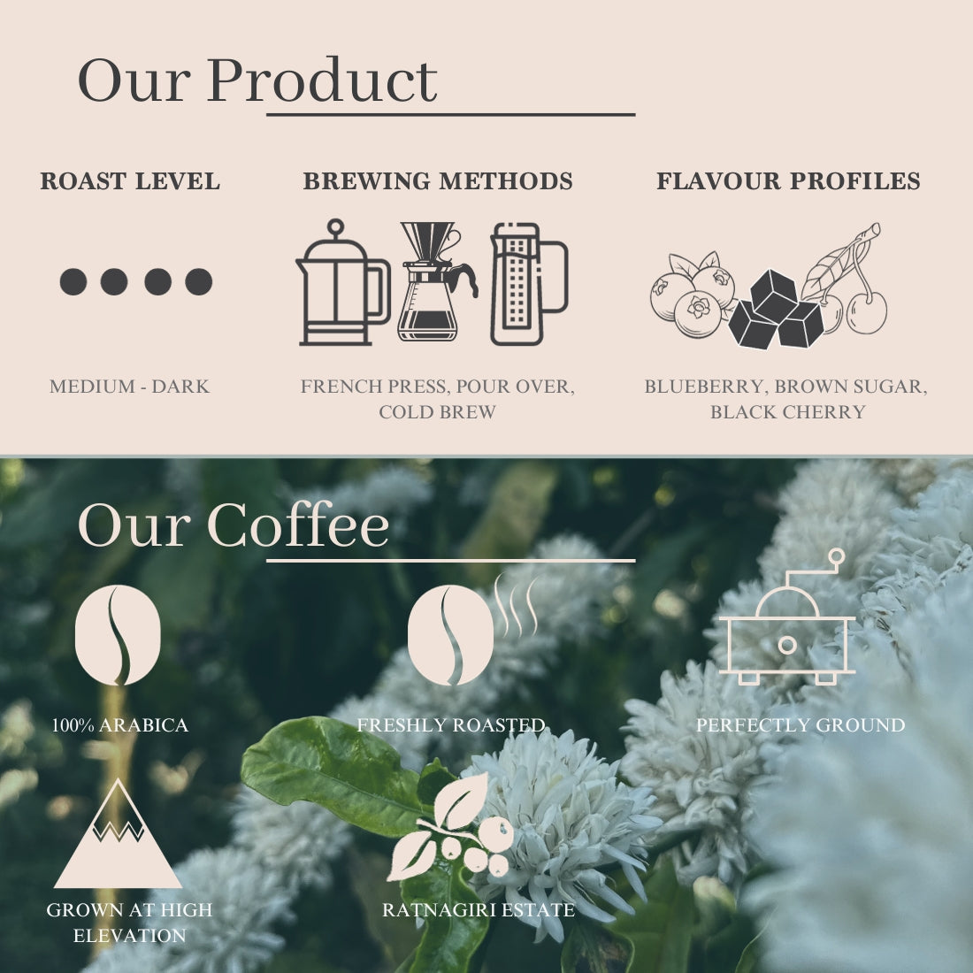 Cold Brew Blend Coffee - Medium Dark Roast, Flavour Notes: Blueberry, Brown Sugar and Black Cherry