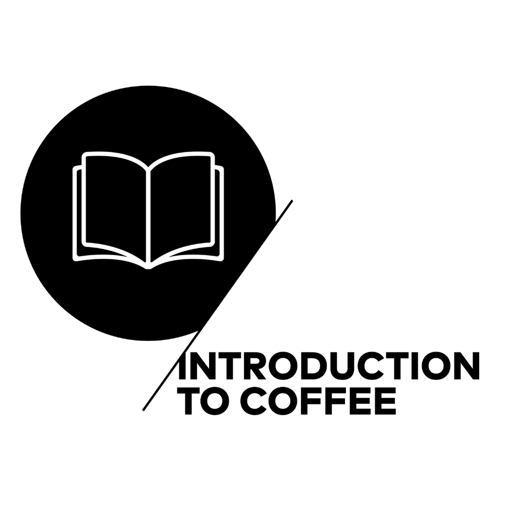 SCA Intro to Coffee