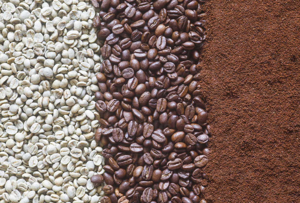 green coffee beans, coffee beans. roasted coffee beans, ground coffee, freshly roasted coffee beans