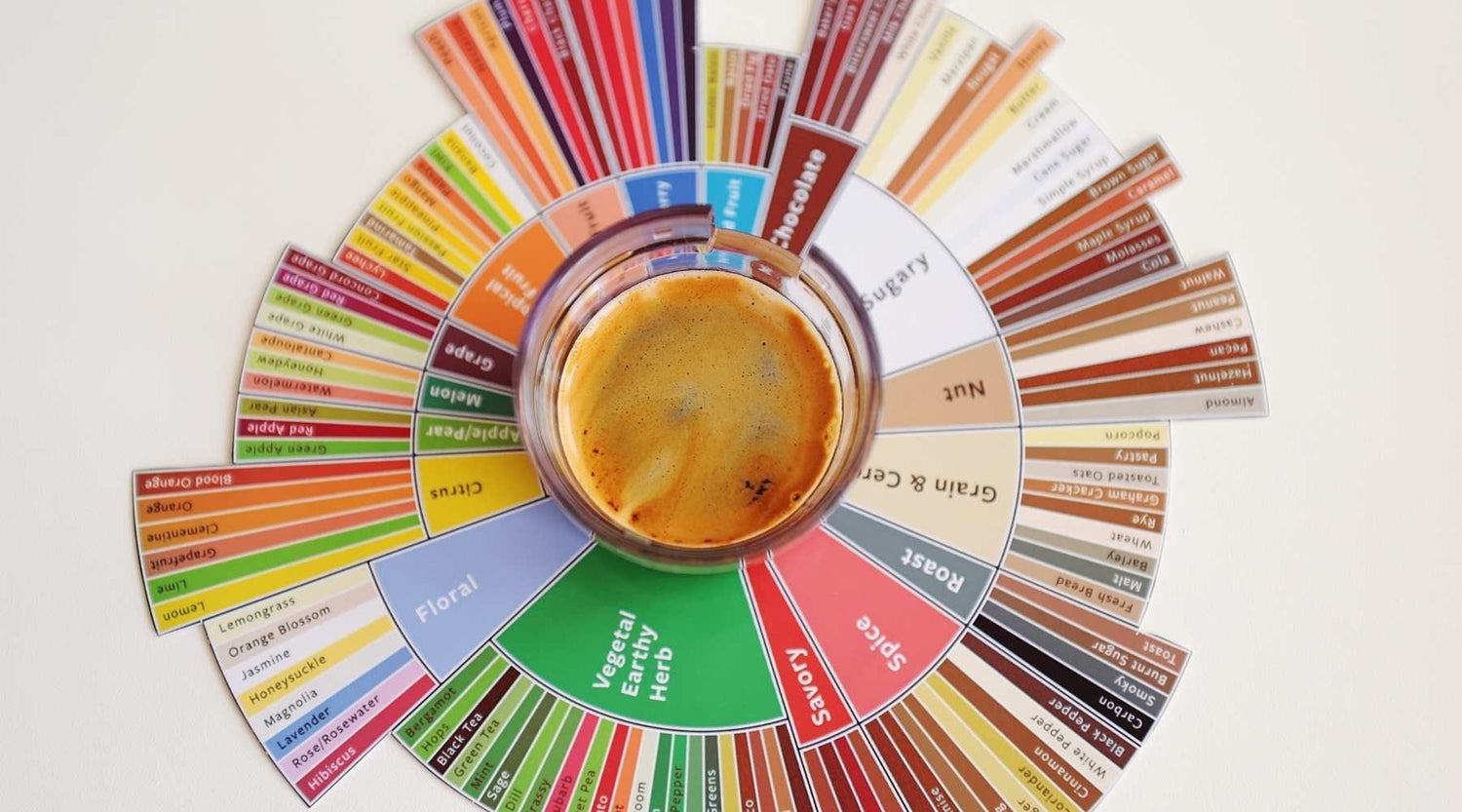 sensory, coffee sensory, coffee tasting, coffee flavor wheel