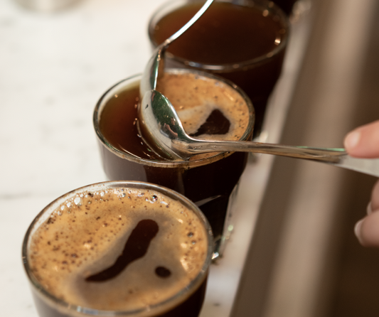 coffee cupping, coffee tasting, coffee evaluation, coffee quality